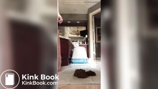 One of my new favorite scat videos - video 157