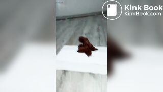 Maitresse Francaise, Instruction Scat!