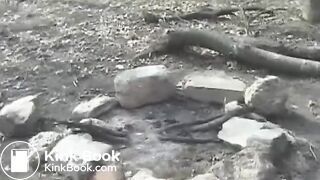 outdoor shit - video 8