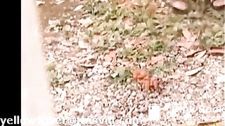 Desperate OL has to poop outside the back door (3)