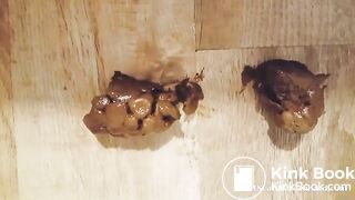 Scat 301