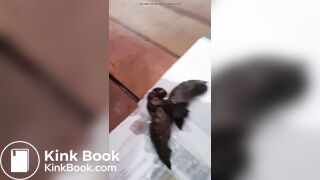 Brasileira delícia demais cagando muito