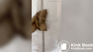 One of my new favorite scat videos - video 80