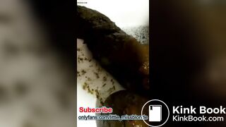 Long Beutiful Shit and Piss