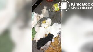 porta potty - video 2