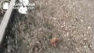 Poo and pee on the train track..