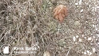 Poo and pee on the train track..