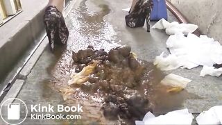 Shitting and pissing on a filthy pile of shit
