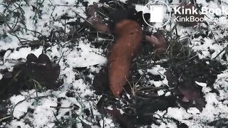 To poo in the snowy woods..