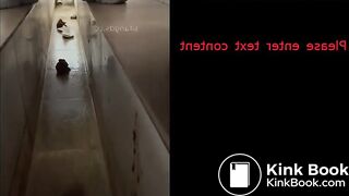 Fresh Morning Dry Turd