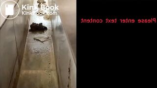 Fresh Morning Dry Turd