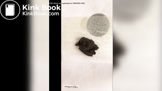 Teen pooping - video 2