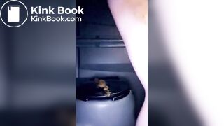 public portapotty shitting