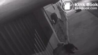 Cctv Girl pooping on the street