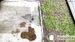 Hot girl shitting outside - video 5