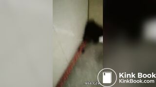 spy camera asian girl pee and shit.video_487