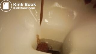 a sandwich gone liquid so quickly