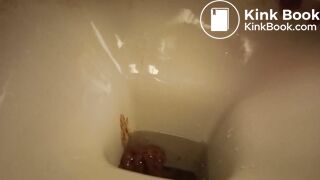 a sandwich gone liquid so quickly