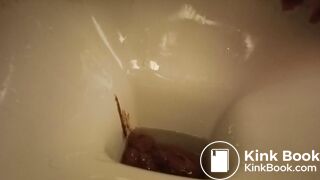 a sandwich gone liquid so quickly