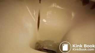 a sandwich gone liquid so quickly