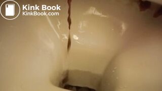 a sandwich gone liquid so quickly