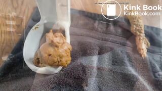 im still jealous of that toilet