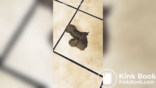 Scat 239