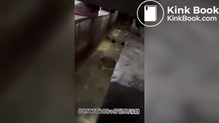 spy camera asian girl pee and shit.video_476