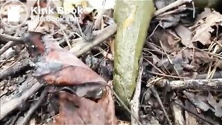 Outdoor poo in the woods..