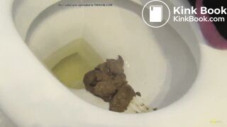 A big pile of shit in the toilet