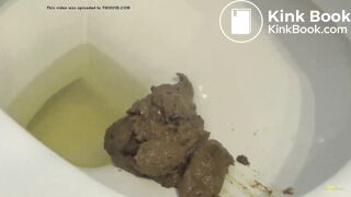 A big pile of shit in the toilet
