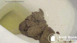 A big pile of shit in the toilet