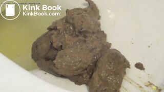 A big pile of shit in the toilet