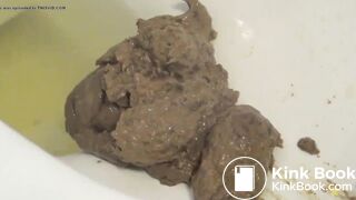 A big pile of shit in the toilet