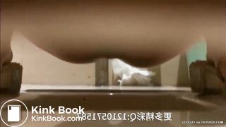 Shopping mall toilet peeing and pooping