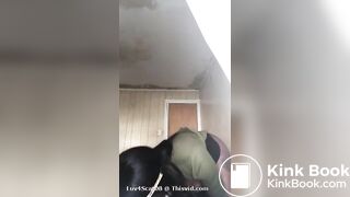 Scat 244