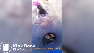 Dixie POV massive shits