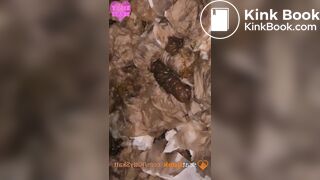 Nasty festival toilet shits