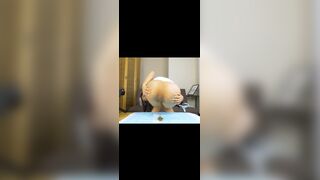 Beautiful and lovely Japanese beauties shit and fart at