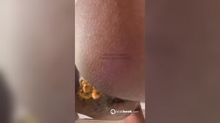 Desperate pooper