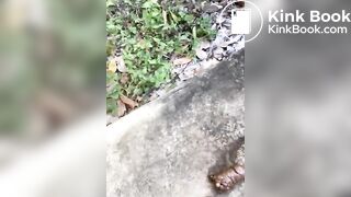 Scat 151