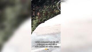 Brazilian girl shits down her leg