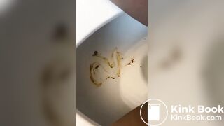 Nasty toilet poo..