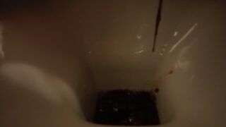 hard day for the toilet