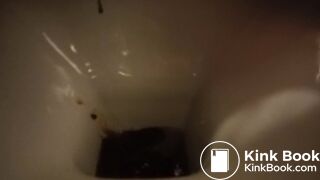 hard day for the toilet