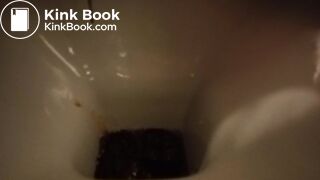 hard day for the toilet