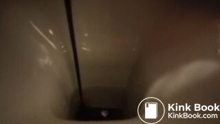 hard day for the toilet