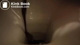 hard day for the toilet