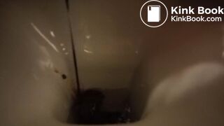 hard day for the toilet