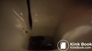 hard day for the toilet